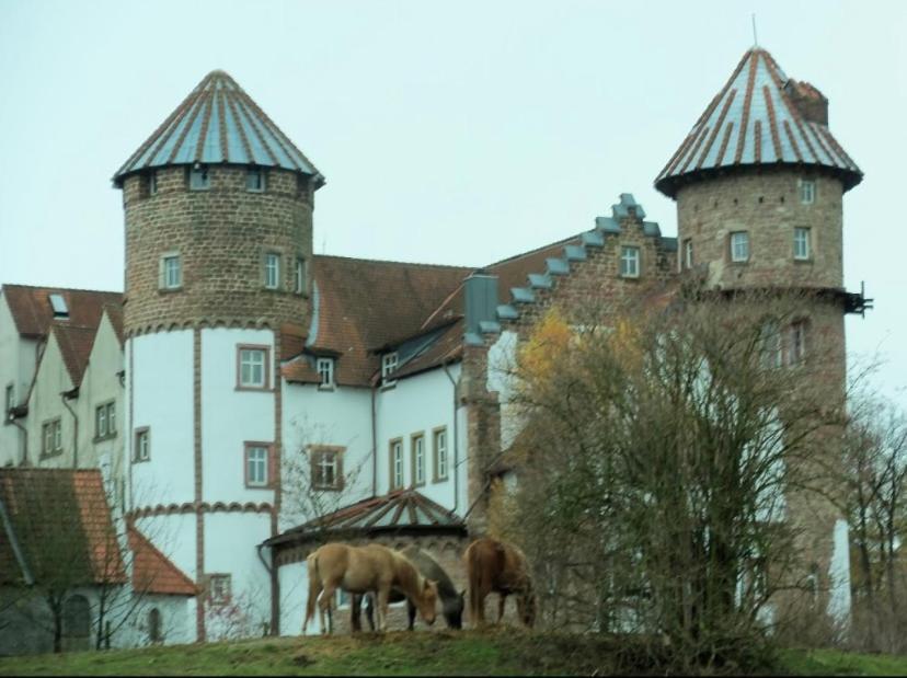 Luxus Appartement Im Schloss Fockelberg Esterno foto